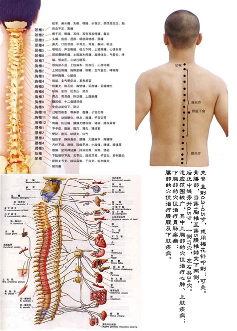 消積穴|中医针灸：经外奇穴